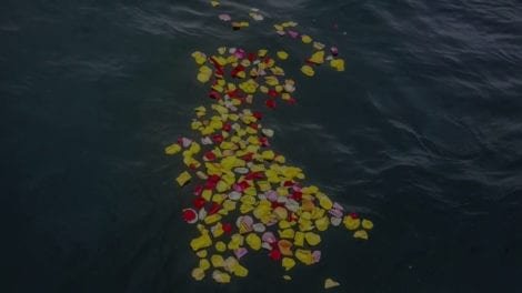 san diego harbor cruise, harbor cruise in san diego, harbor cruise san diego, harbor cruises san diego, whales watching san diego, harbor cruises in san diego, san diego boat tour, san diego cruise dinner, cruise careers, harbor tours in san diego, san diego dinner cruises, whale watching san diego, boat tour San Diego, cruises for weddings, coronado, dinner cruises san diego, san diego dinner cruise, whale watch san diego, week cruise, coronado ferry, san diego whale watch, san diego harbor cruises, ferry schedule, cruise dinner san diego, cruises weddings, whale watching in san diego, dinner cruises in san diego, taxis in san diego, harbor tour san diego, brewery in san diego, boat cruise san diego, weddings on cruises, ferry, san diego event, cruises boat, san diego harbor tours, coronado island, dinner cruise in san diego, yacht san diego, dinner cruise san diego, harbor tours san diego, easter brunch, boat jet, tour in san diego, whale watch in san diegoa, boat cruises san diego, san diego brunch, cruises dinner, san diego whale watching, california coronado