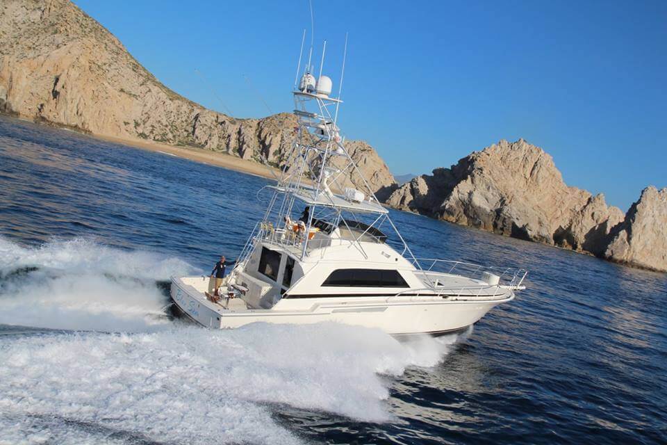 yacht charters cabo san lucas, cabo san lucas charter boats, luxury yacht charter cabo san lucas, cabo yacht rentals, cabo sportfishing, luxury charter yacht cabo san lucas, yacht charters cabo san lucas boat charters, boat charters cabo san lucas, yacht rentals cabo, yacht in cabo san lucas, yachts cabo san lucas, los cabos yacht charter, san jose del cabo yacht charters, cabo charter yacht, cabo san lucas yacht charter, yacht charters cabo cabo, yacht charters, yachts in cabo san lucas, charter boats in cabo san lucas, cabo yacht charter, boat charter cabo san lucas, yacht charters in cabo, yachts in cabo cabo san lucas yachts, luxury yacht rental in cabo san lucas, private yacht rental cabo san lucas, los cabos yacht, cabo san lucas yacht rentals, yacht rentals cabo san lucas, cabo san lucas yacht, private yacht charter cabo san lucas, private yacht charters to cabo, day yacht charters cabo san lucas, luxury yachts cabo yacht cabo san lucas, cabo yachts for charter, yacht in cabo yacht cabo, private yacht cabo san lucas, yacht los cabos, boat charter cabo san lucas mexico, yacht charter los cabos, yachts cabo cabo, charter boats cabo boat charters, day yacht charters cabo, cabo luxury yacht charter, cabo yacht, cabo private yacht charter, yacht charter cabo