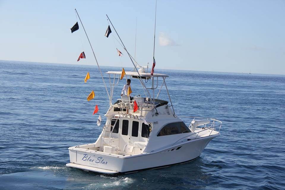 san diego yacht charters, boat rental san diego, party boat san diego, yacht cruises san diego, private charter san diego, inspiration hornblower, yacht ride san diego, inspiration yacht san diego, private boat cruise san diego, san diego yacht cruise, yacht rides san diego, private boat rides san diego, wine cruise san diego, mega yachts in san diego, private charters san diego, san diego private boat tours, san diego private charters, wine cruises san diego, san diego harbor yacht charter, san diego yacht tour charter, boat charters san diego, private yacht charters san diego, private boat charter san diego, mega yacht in san diego, hornblower inspiration, dinner yacht charters san diego, private charter boats san diego, san diego bay yacht charter, sunset yacht charters san diego, private yacht charter san diego, private cruises san diego, bella luna yacht san diego, san diego boat charters, san diego private cruises, stay on a yacht san diego, san diego private yacht charter, admiral hornblower san diego, private boat tour san diego, high spirits hornblower, charter boats in san diego, yacht cruise san diego, a private yacht for charter the inspiration, private dinner cruise san diego, hornblower high spirits, boat b&b san diego, boat and bed san diego, stay on a boat in san diego, private party charters san diego, emerald hornblower, private boat tours san diego, aolani catamaran, aolani san diego, san diego overnight cruise