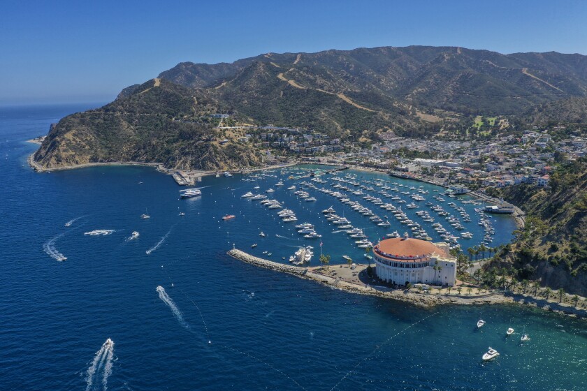 catalina island Mai Tai Yacht Charters