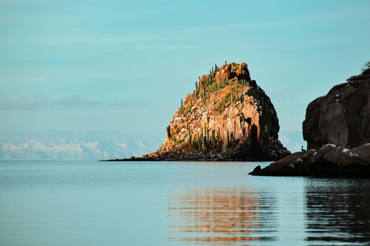 Cruising Cabo’s Pacific Coast: Wildlife, Cliffs & Photography Spots